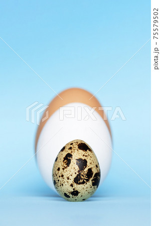Three type of different birds eggs isolated on blue paper background. Various size and kind choice concept. Quail, egg and turkey eggs nutrients comparison. Segregation and equlty 75579502