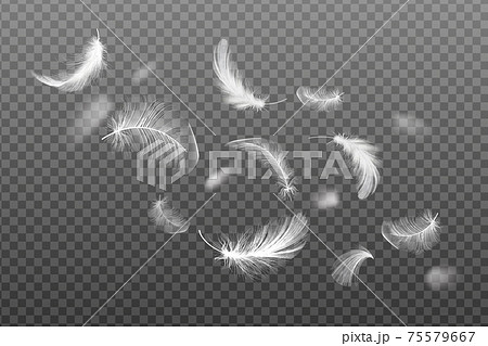 Ecological feather filler for pillows, blankets, or jackets.Set of flying realistic vector goose or chicken feathers. 75579667