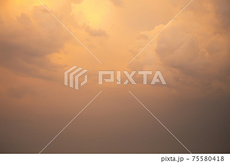 beautiful orange sunset sky with clouds, bird in the sky beautiful orange sunset sky with clouds, bird in the sky 75580418