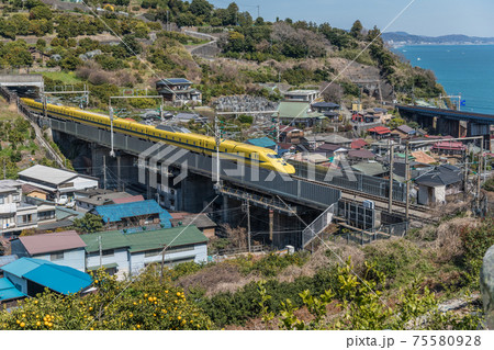 【ミカン畑を疾走する東海道新幹線ドクターイエローT4編成】 75580928
