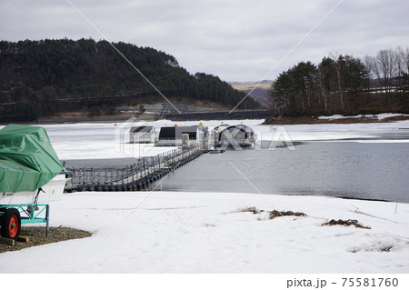 岩洞湖のワカサギ釣り 岩洞湖のワカサギ釣り 75581760