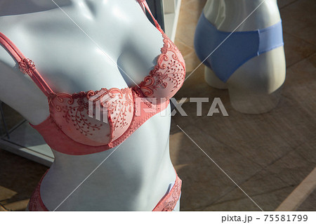 lingerie plastic woman underwear dummy underwear breast lace 75581799