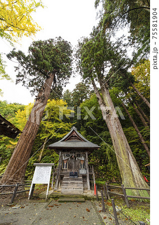飯盛山 厳島神社(会津若松市) 飯盛山 厳島神社(会津若松市) 75581904