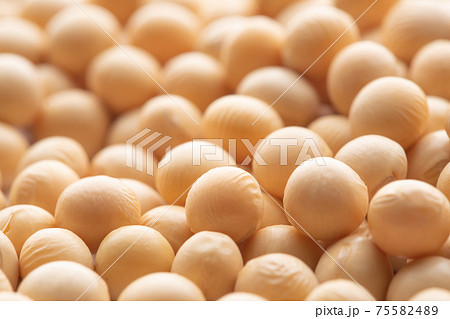 大豆 75582489