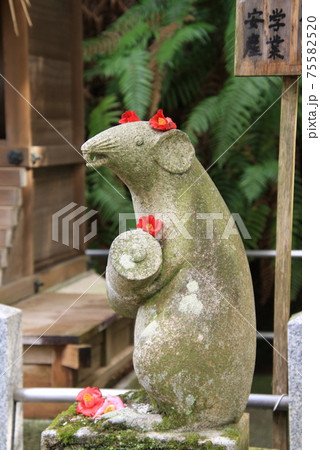 京都 狛鼠で有名な大豊神社 京都 狛鼠で有名な大豊神社 75582520