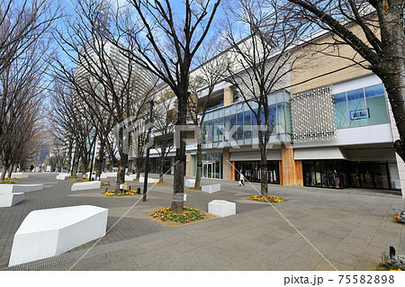 横浜　みなとみらいの都市風景　MARK IS みなとみらい 75582898