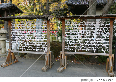 おみくじ結び所 75583397