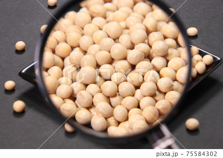 皿に盛った大豆と拡大鏡 75584302