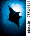 MANTA 75584412