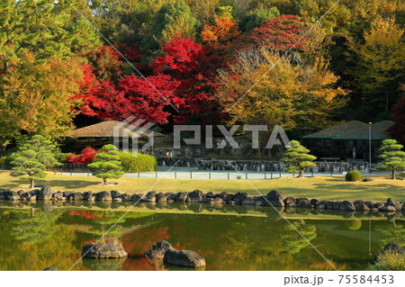 日本庭園の紅葉 日本庭園の紅葉 75584453