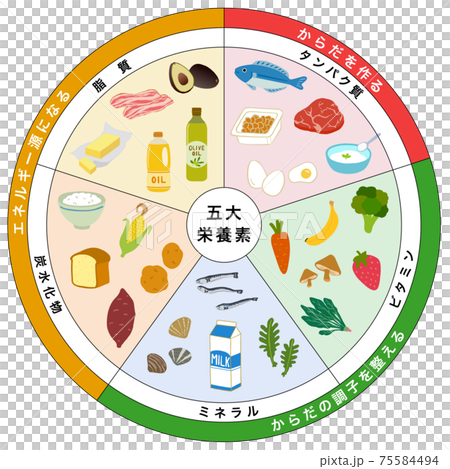 五大栄養素　三色食品群　食品　一覧表 75584494