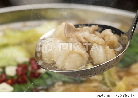 ぷりぷりホルモンの博多もつ鍋 ぷりぷりホルモンの博多もつ鍋 75586647