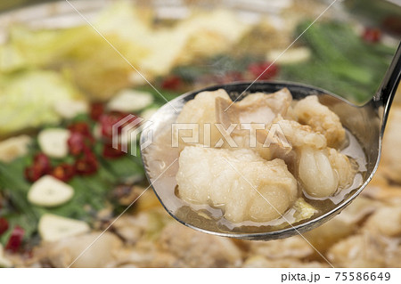 ぷりぷりホルモンの博多もつ鍋 75586649