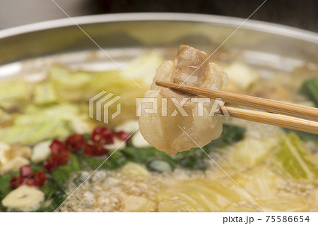 ぷりぷりホルモンの博多もつ鍋 75586654