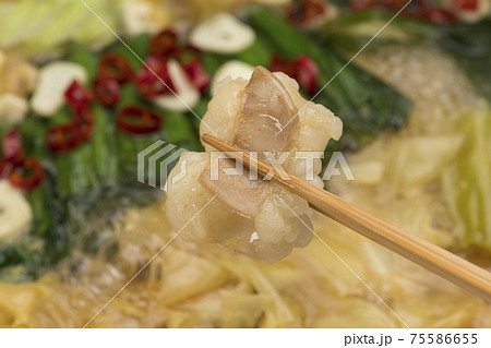 ぷりぷりホルモンの博多もつ鍋 ぷりぷりホルモンの博多もつ鍋 75586655