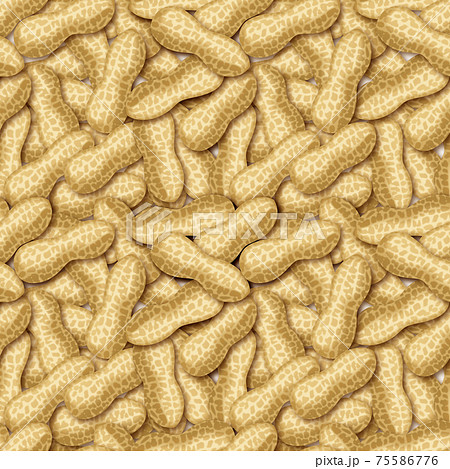 落花生の壁紙 シームレスのイラスト素材