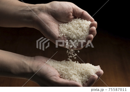 白米を手で持ち上げる 白米を手で持ち上げる 75587011