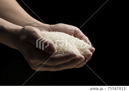 白米を手で持ち上げる 白米を手で持ち上げる 75587013