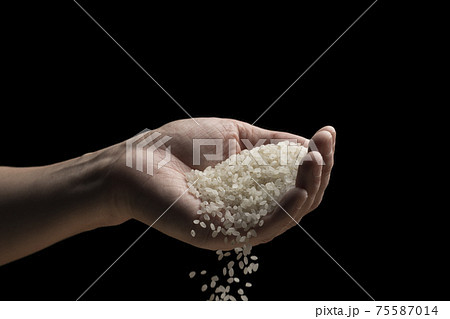 白米を手で持ち上げる 75587014