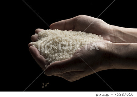 白米を手で持ち上げる 75587016