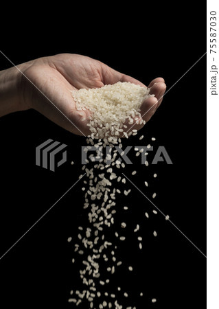白米を手で持ち上げる 75587030