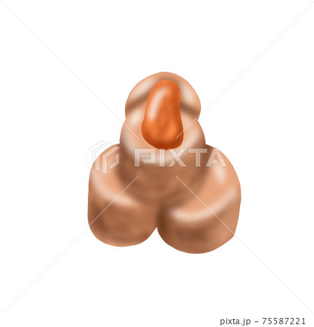 あん肝(主線なし) 75587221