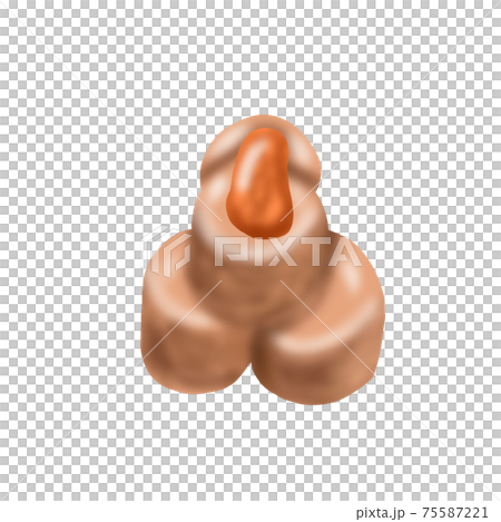 あん肝(主線なし) 75587221