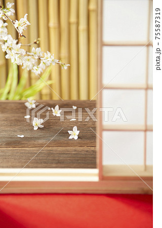 花見　和室　茶室　毛氈　赤いカーペット　春の訪れ 75587319