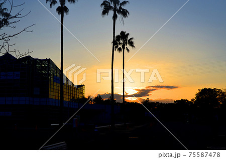 大阪 鶴見緑地公園の夕景 大阪 鶴見緑地公園の夕景 75587478