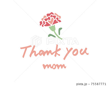 かわいい花　母の日　カーネーション　Thank you／手書きイラスト素材 75587771
