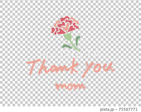 かわいい花　母の日　カーネーション　Thank you／手書きイラスト素材 75587771