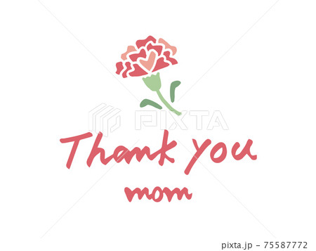 かわいい花　母の日　カーネーション　Thank you／手書きイラスト素材 75587772