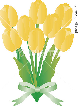 チューリップ 黄色 花束 リボン 春 花 ギフト プレゼント イラスト素材のイラスト素材