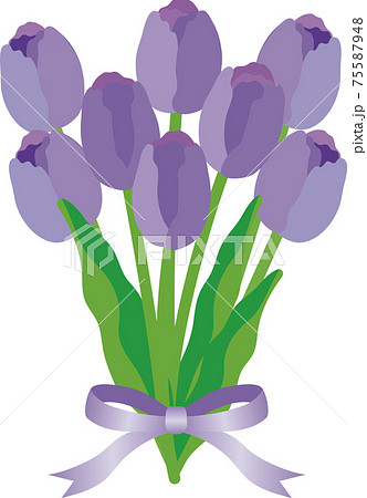チューリップ 紫 花束 リボン 春 花 ギフト プレゼント イラスト素材のイラスト素材