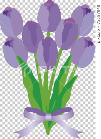 チューリップ 紫 花束 リボン 春 花 ギフト プレゼント イラスト素材のイラスト素材