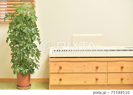 観葉植物のある部屋 観葉植物のある部屋 75588510