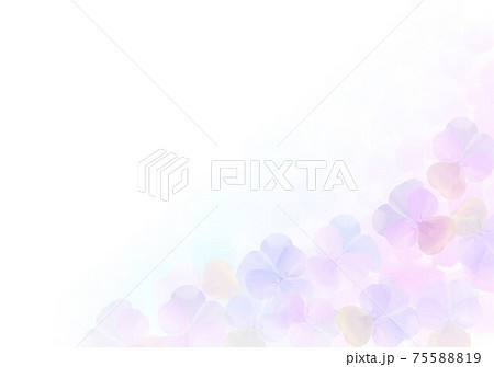ビオラ背景 ビオラ背景 75588819