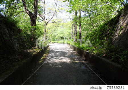 公園の道 公園の道 75589281