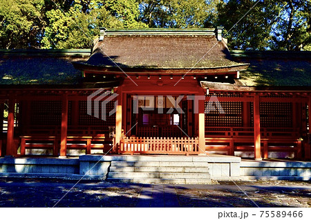 宇佐神宮の「下宮(御炊宮)」(大分県宇佐市) 宇佐神宮の「下宮(御炊宮)」(大分県宇佐市) 75589466