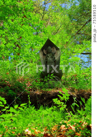 古来の神社仏閣　その2103　：　信州の津金寺と立科の石碑 75589510