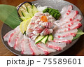 お造り 75589601