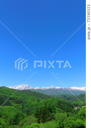 麗しき北アルプス その2103 : 春の北アルプス その2103 麗しき北アルプス その2103 : 春の北アルプス その2103 75590323