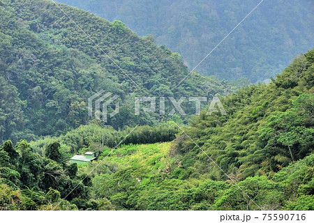 台湾 山脈 山岳 75590716