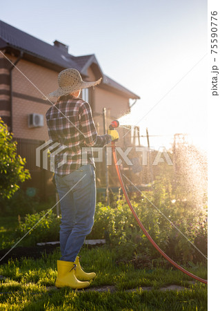 Caucasian woman gardener in work clothes watering the beds in her vegetable garden on sunny warm summer day. Concept of working in the garden and your farm 75590776