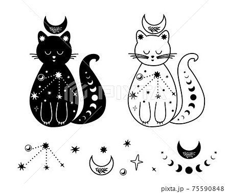 Moon cat set. Black and white celestial cat, stars. Magic domestic animal. Celestial kitty Vector tattoo Moon cat set. Black and white celestial cat, stars. Magic domestic animal. Celestial kitty Vector tattoo 75590848
