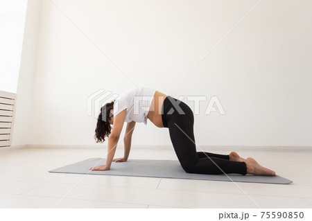 Purposeful pregnant woman exercises during yoga class and relaxes while sitting on a mat on the floor. Concept of physical and mental preparation of the body for childbirth. Place for text 75590850