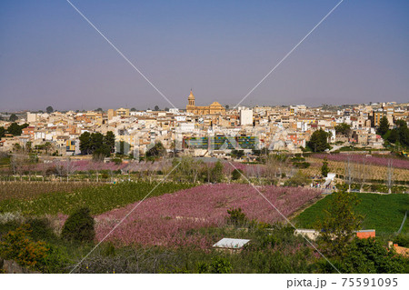 Cieza with its church, Parroquia La Asuncion in the Murcia region in Spain Cieza with its church, Parroquia La Asuncion in the Murcia region in Spain 75591095