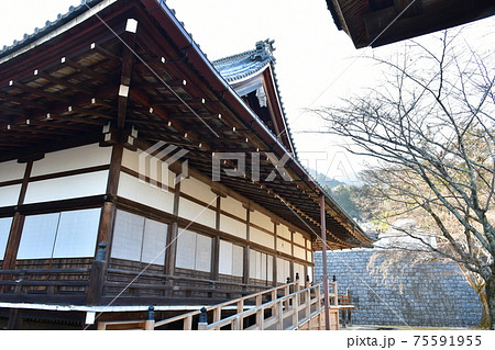 冬の西教寺 冬の西教寺 75591955