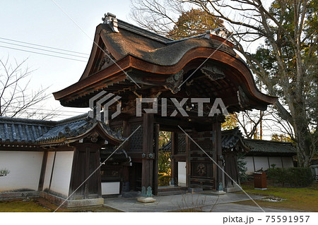 冬の西教寺 75591957