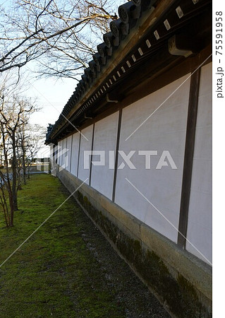 冬の西教寺 冬の西教寺 75591958